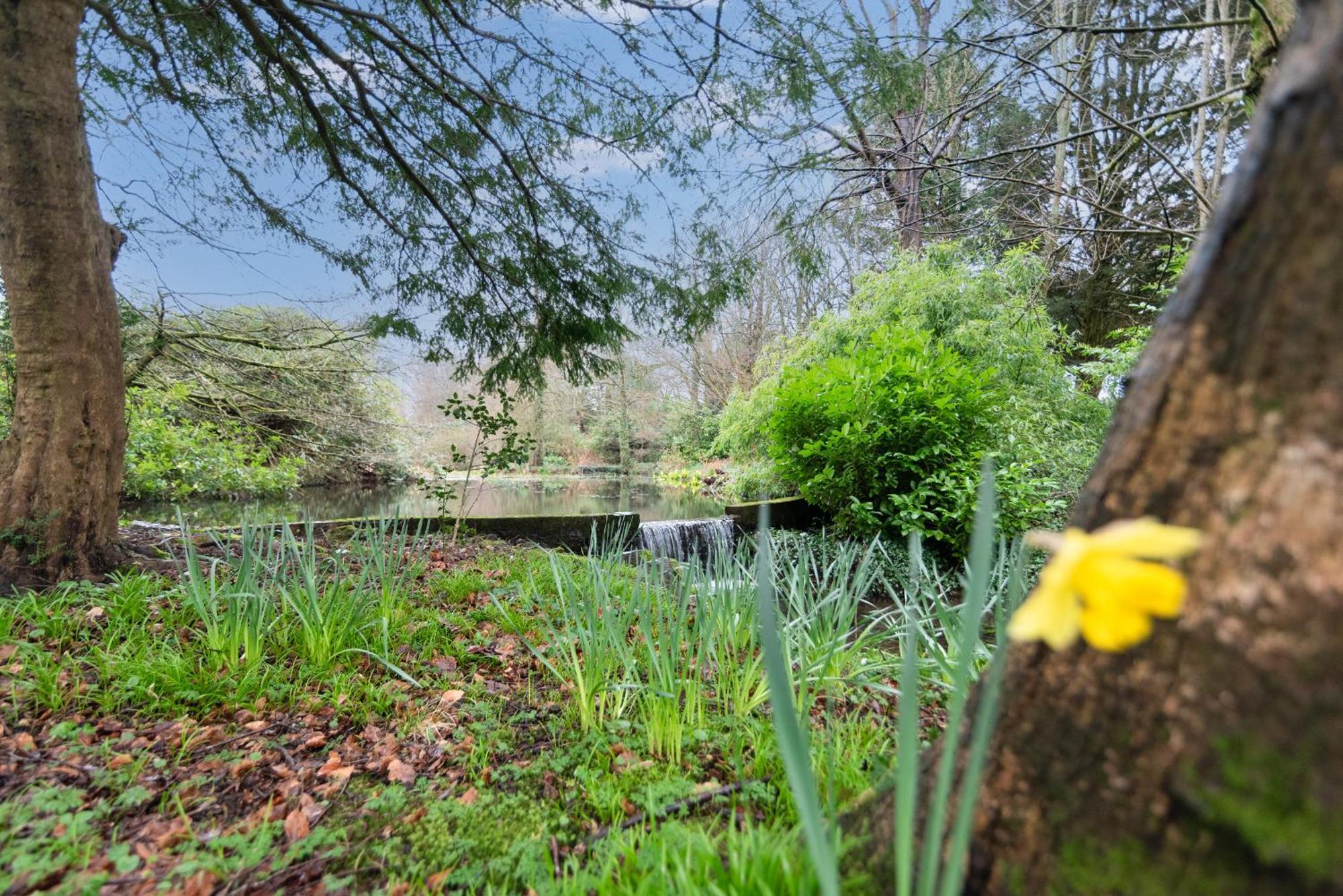 Goytre Hall Abergavenny Bagian luar foto